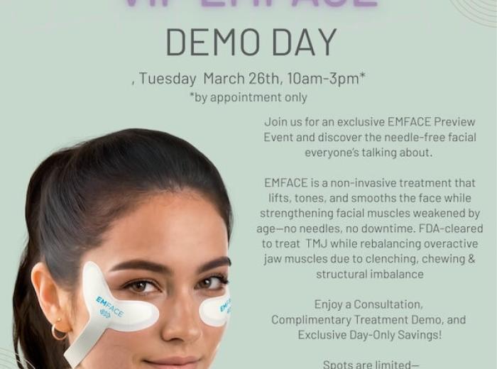 VIP EMFACE Demo Day